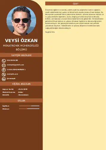 Mekatronik Mühendisliği Cv Örnekleri cv indir